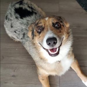 Meet your Posher, Kiley